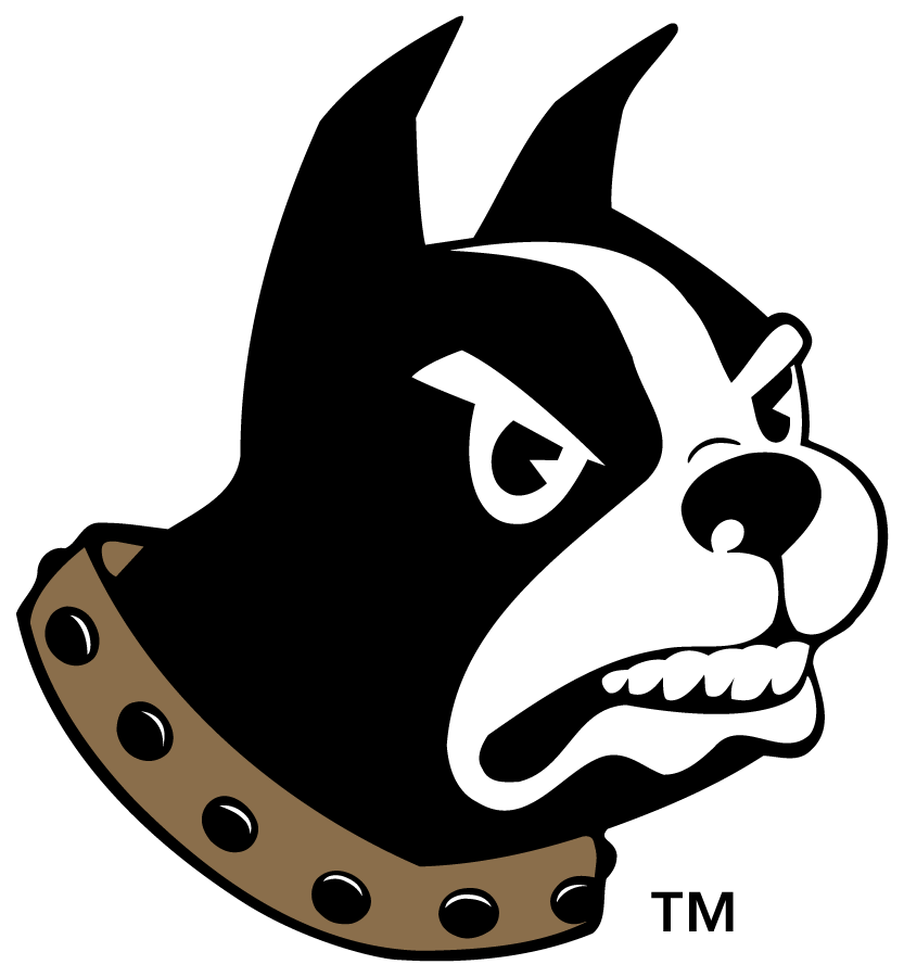 Wofford Terriers 2015-2019 Primary Logo DIY iron on transfer (heat transfer)